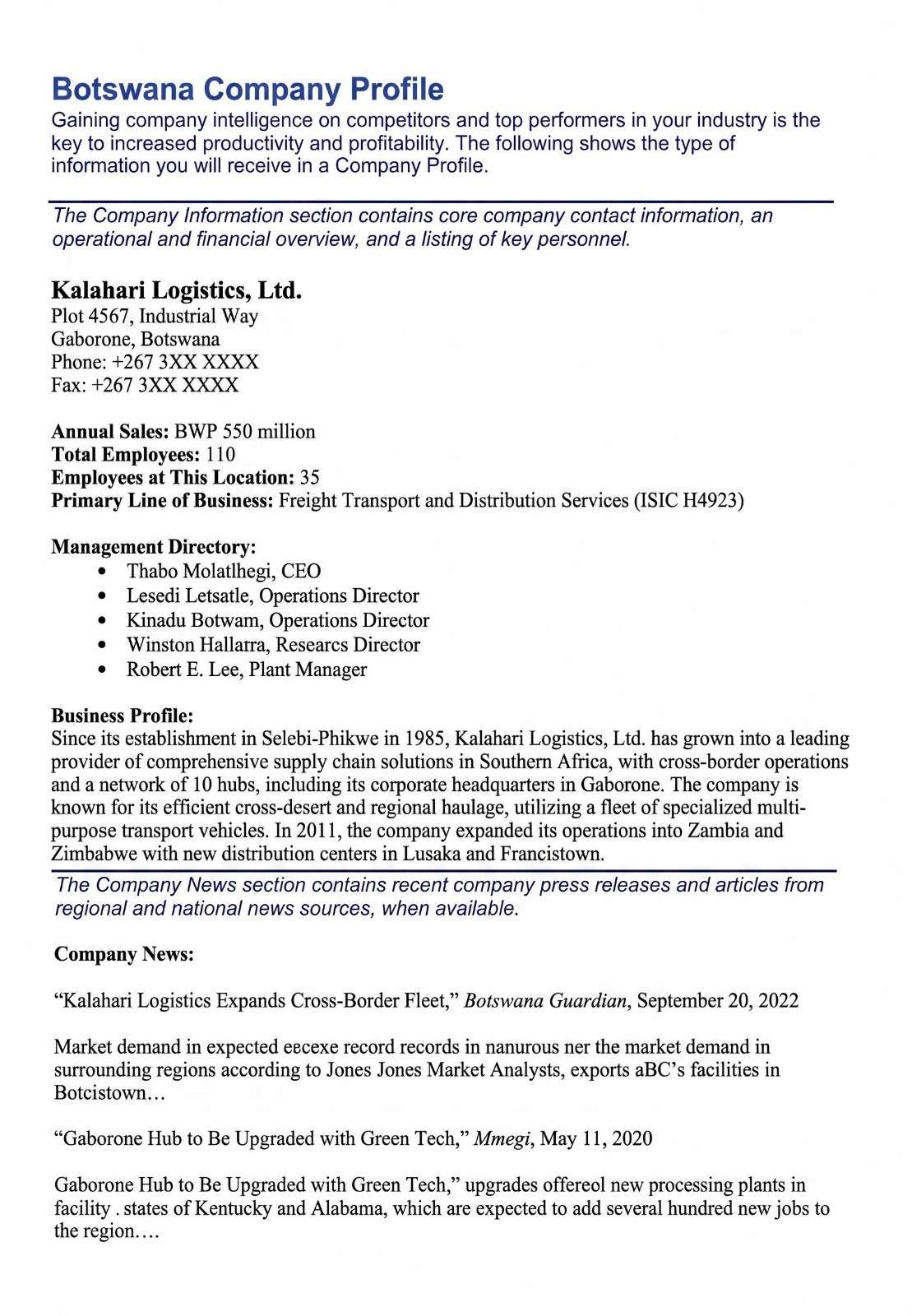 A Business Company Profile