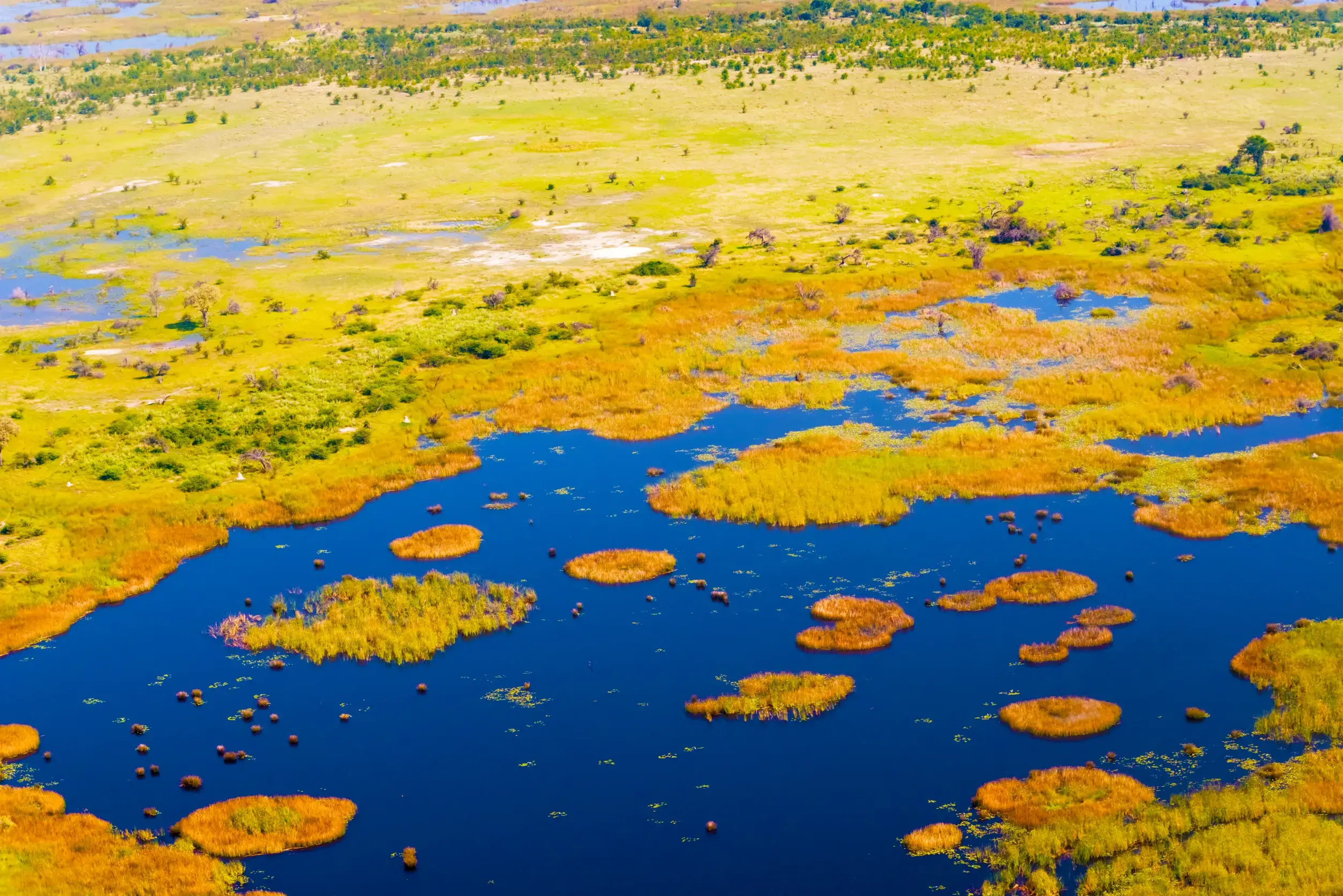 aerial view at picturesque view of okavango delta botswana