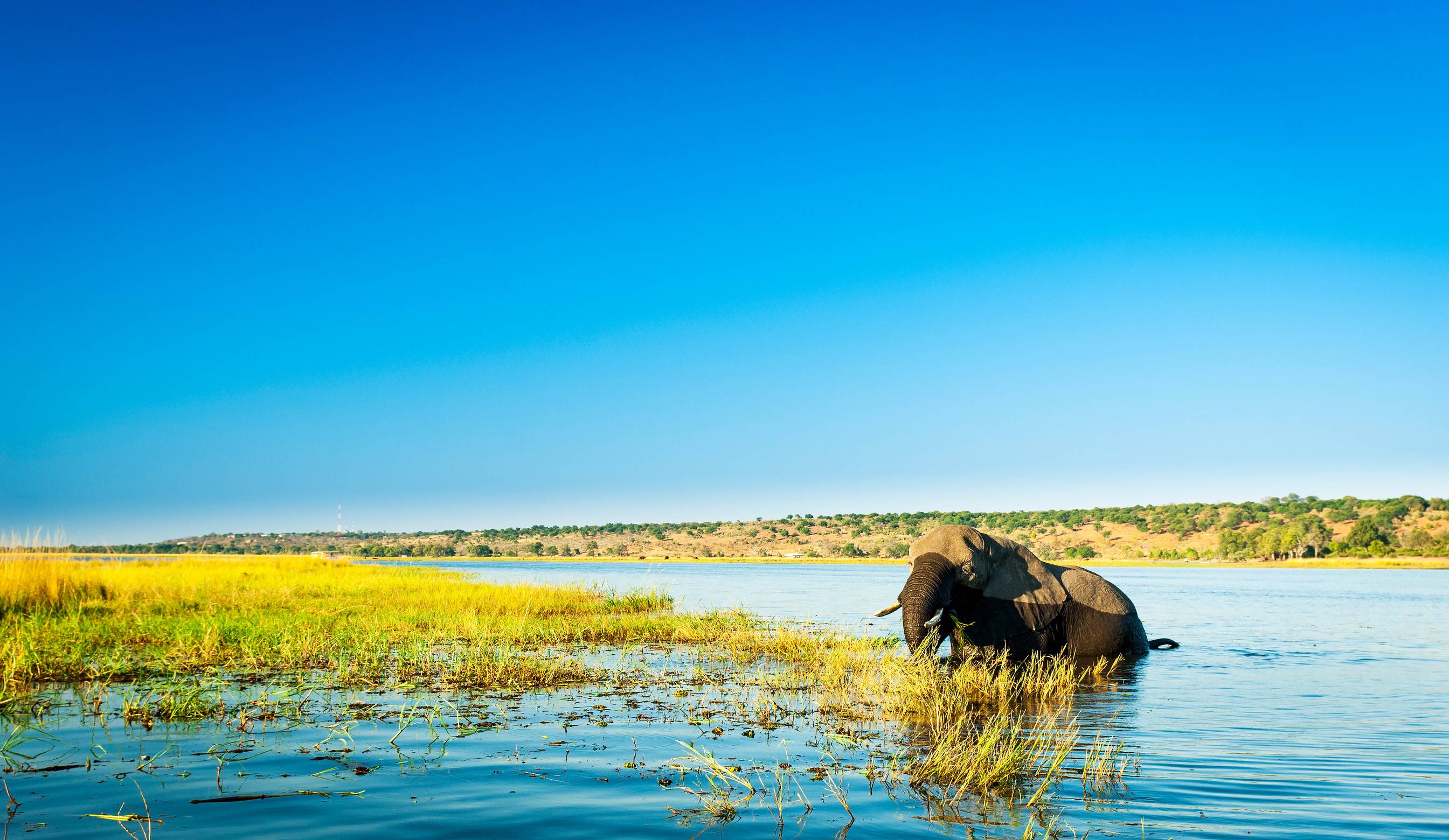 Chobe National Park In Botswana Africa