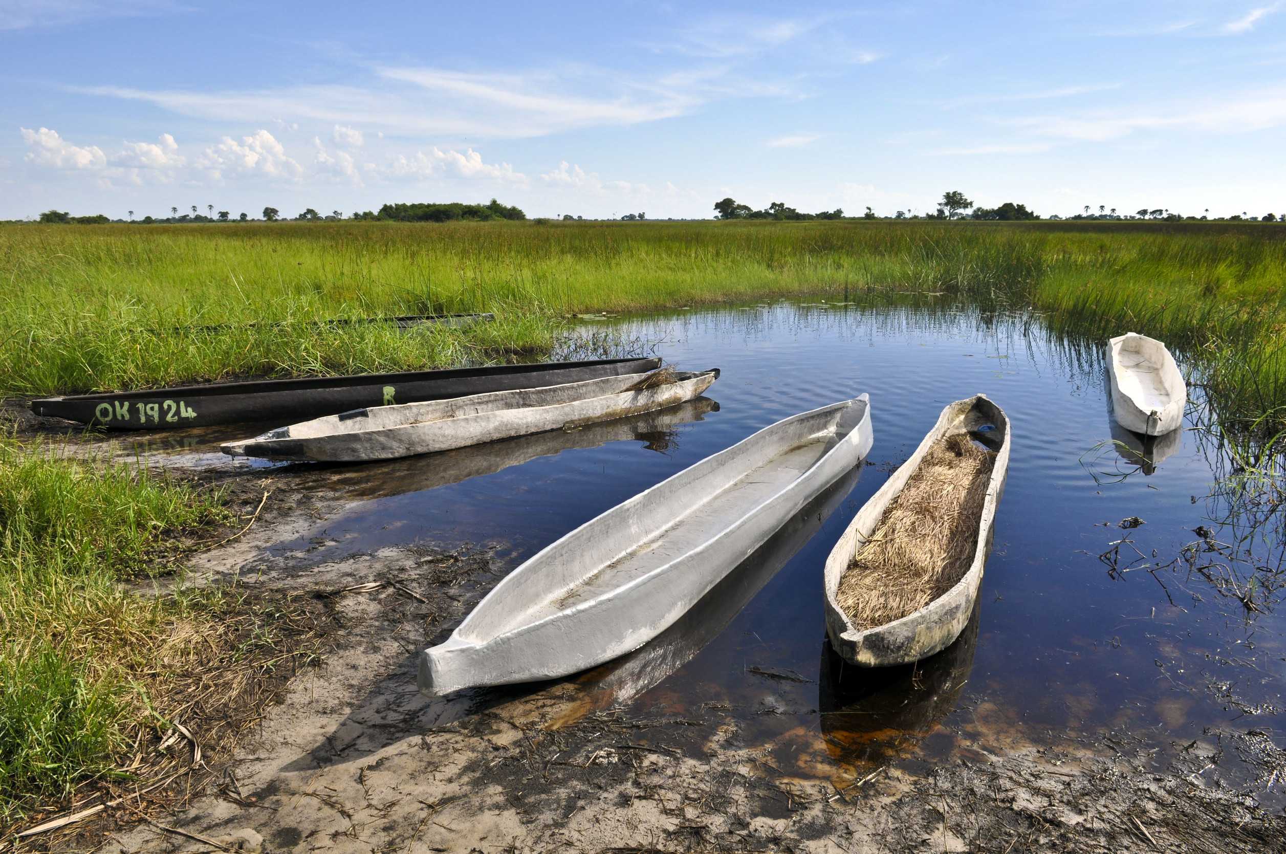 Mokoros In Okavango Delta