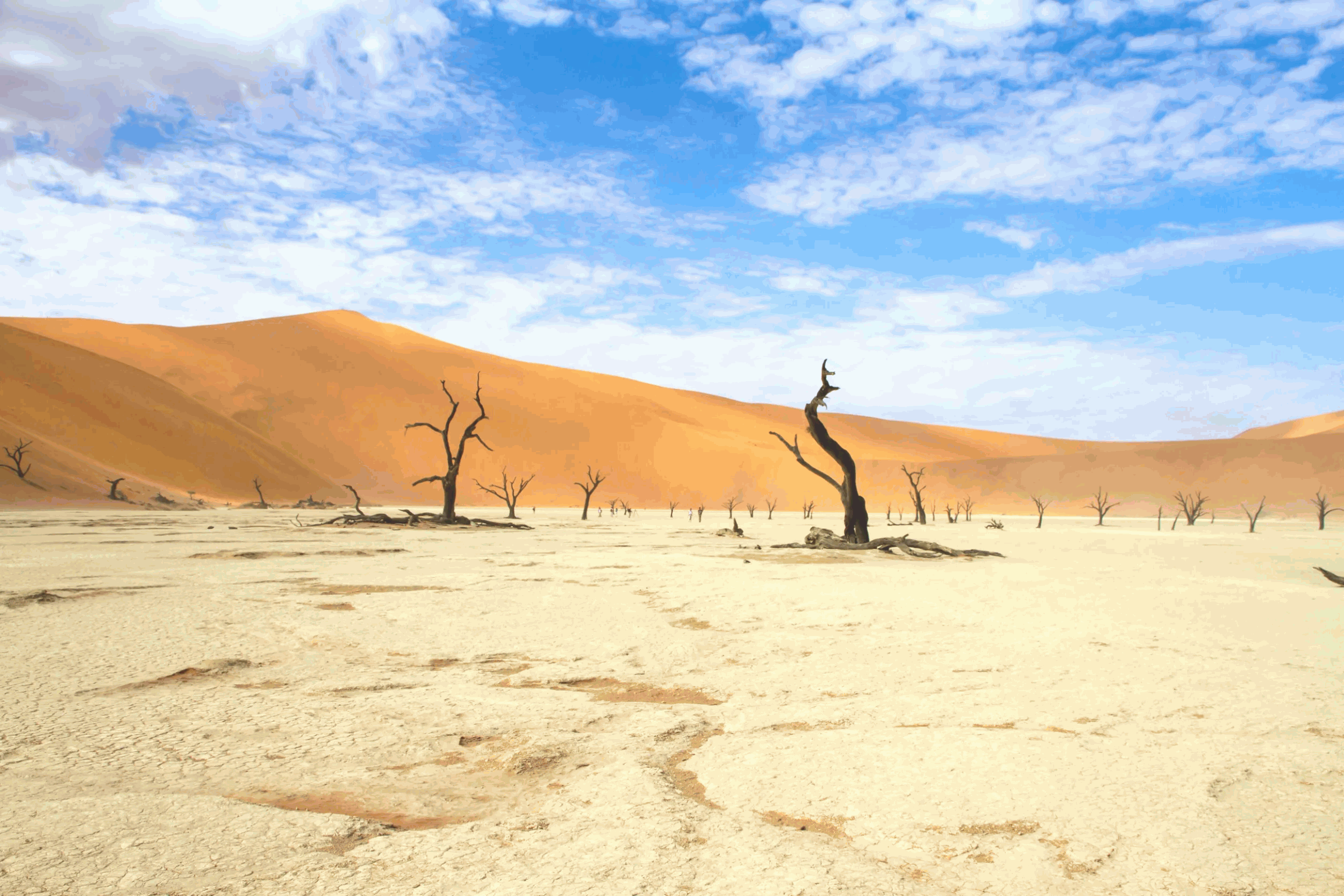 the beautiful view of sossusvlei desert in namibia